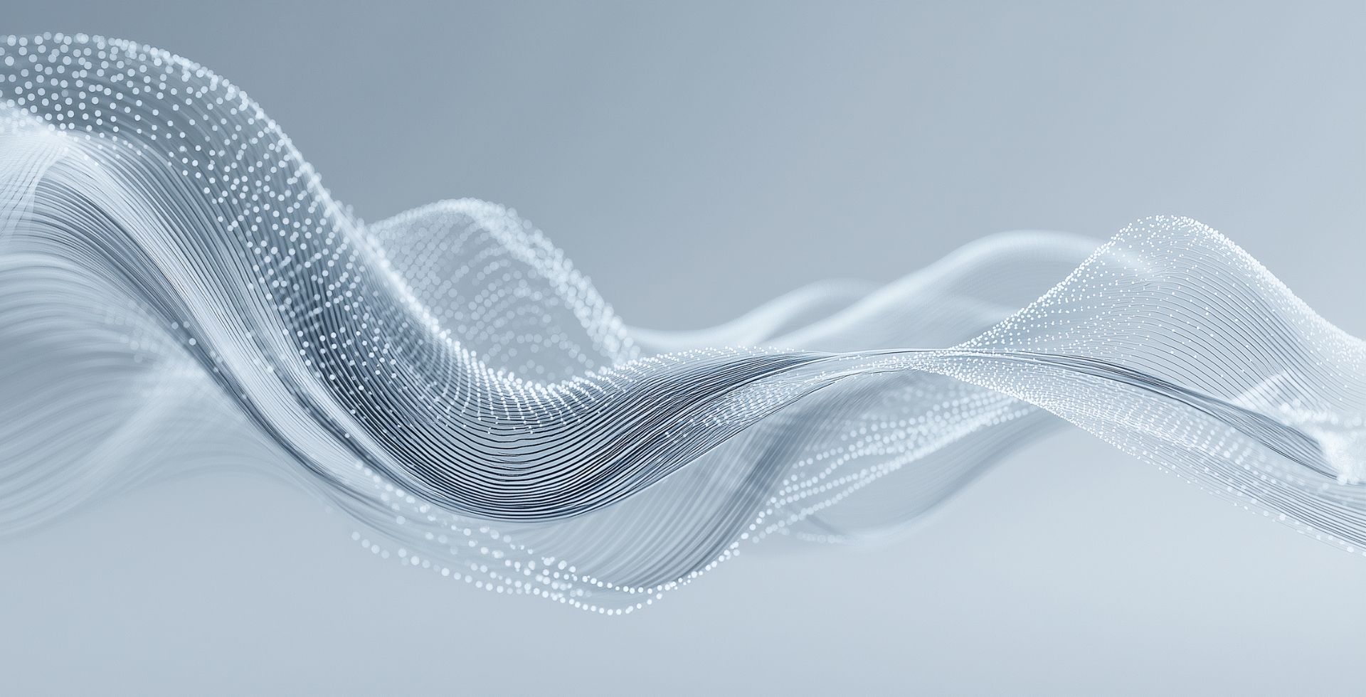 네트워크 사업 특장점 배경