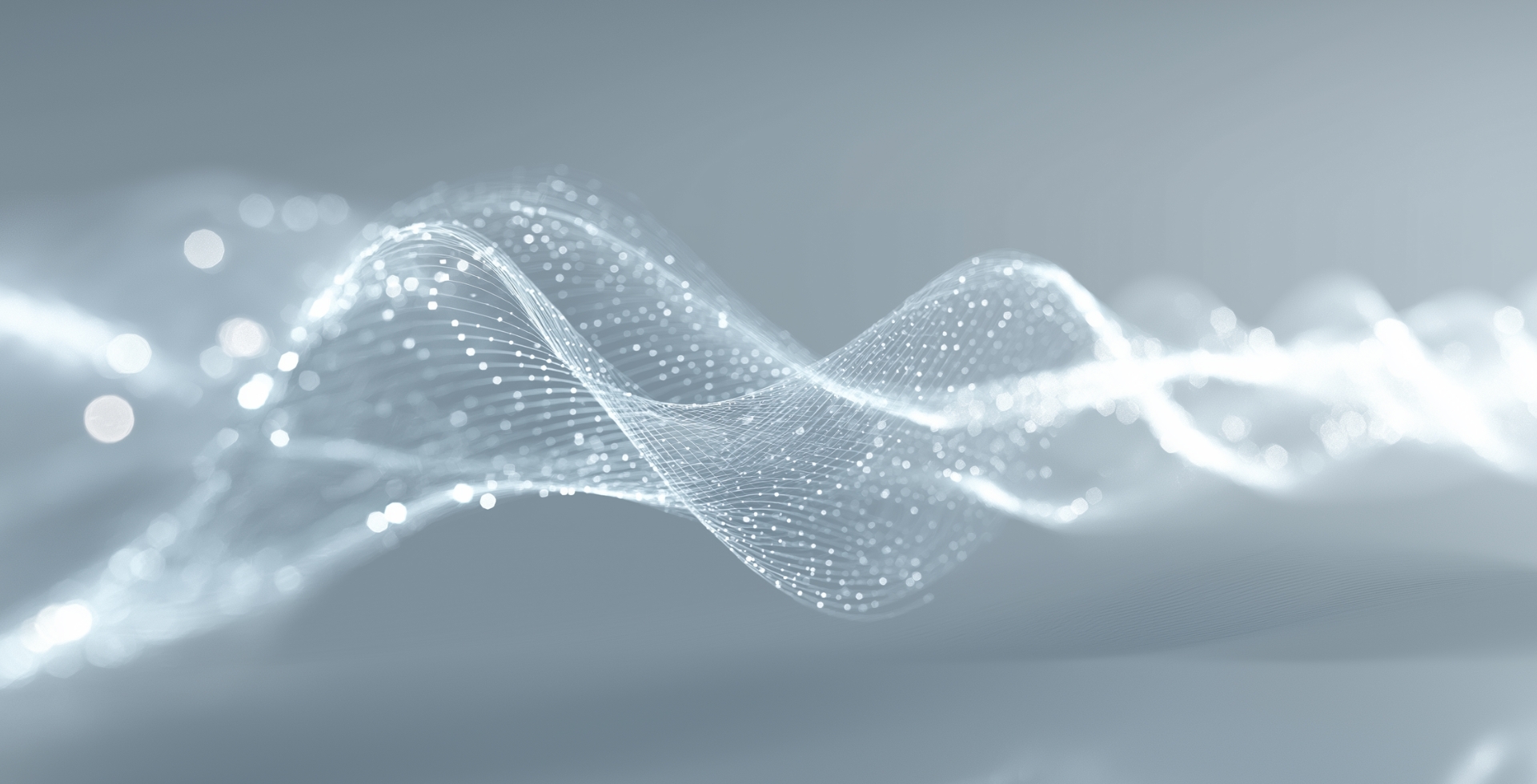 네트워크 사업 특장점 배경