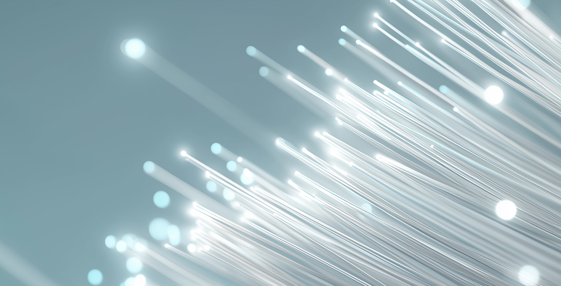 네트워크 사업 특장점 배경