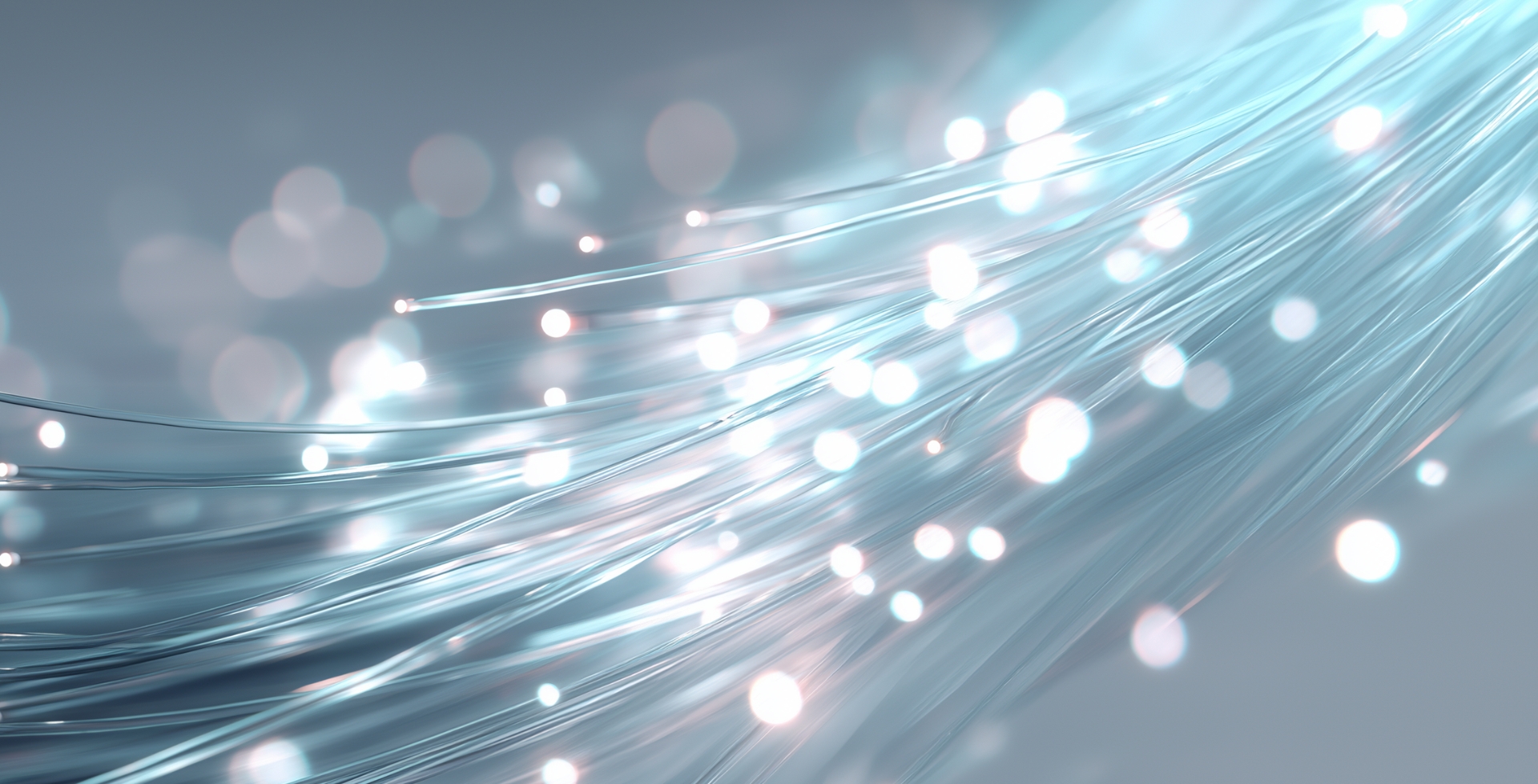 네트워크 사업 특장점 배경