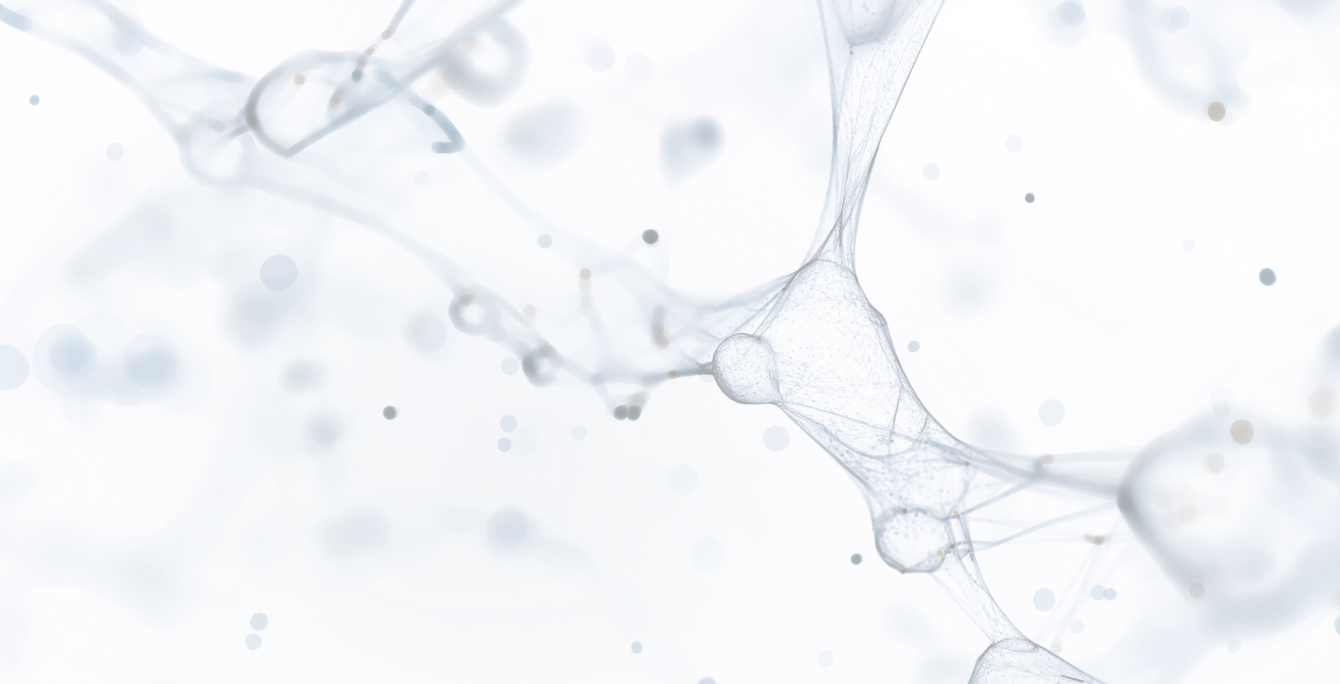 네트워크 사업 특장점 배경