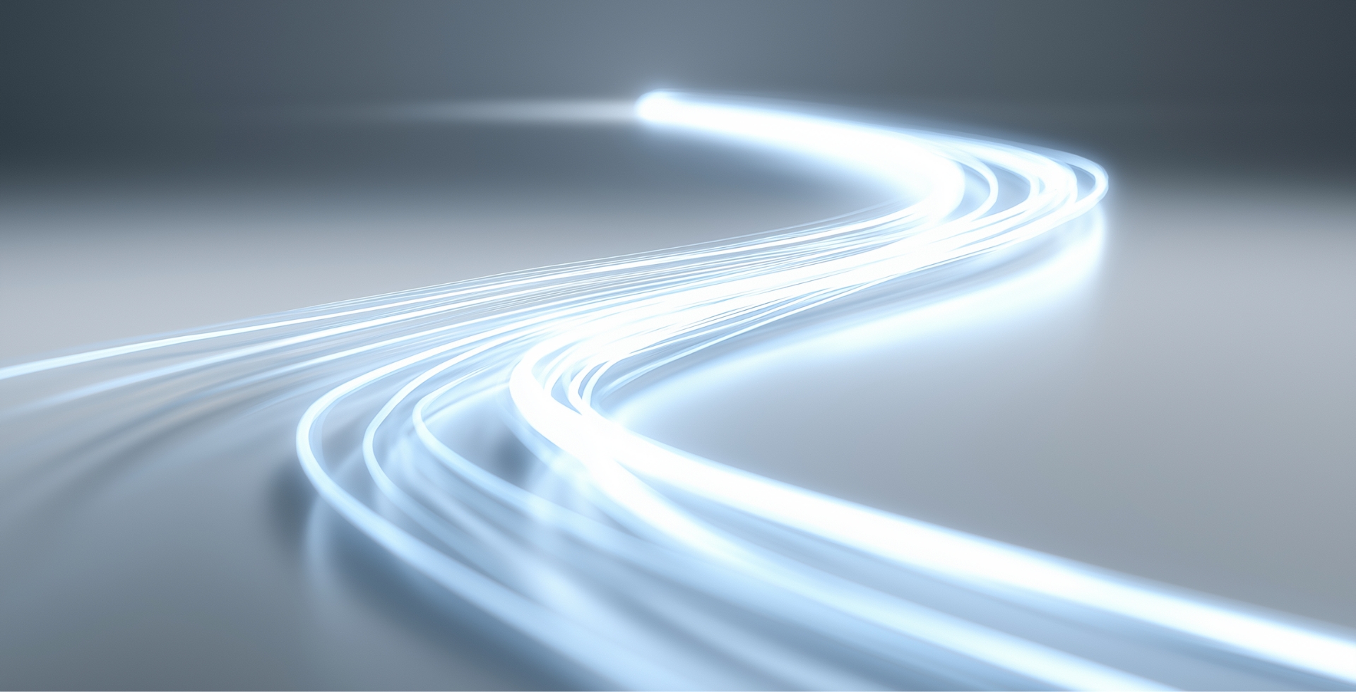 네트워크 사업 특장점 배경